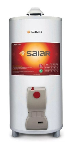 Termotanque a gas Saiar de pie 80 litros