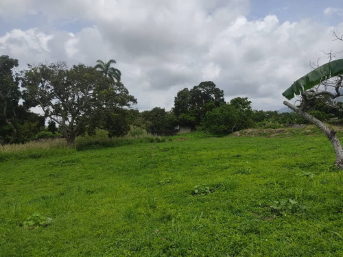 Imagen 2 de 14 de Vendo Finca San Felipe Dt