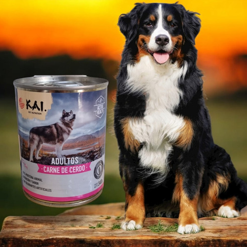 Alimento Húmedo Kai Perro Adulto Cerdo X 340 Grs