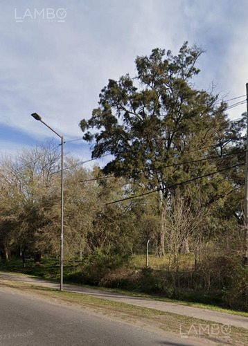 Venta Terreno Lote Pilar Km 46 Ideal Emprendimiento