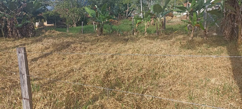 Chacara No Bairro Taquari - Sp 50 Km 23,5 Área De 540m² Sendo 13 De Largura E 42 De Comprimento.