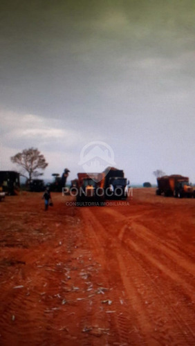 Imagem 5 de 23 de Excelente Fazenda - Martinópolis - 3841131v
