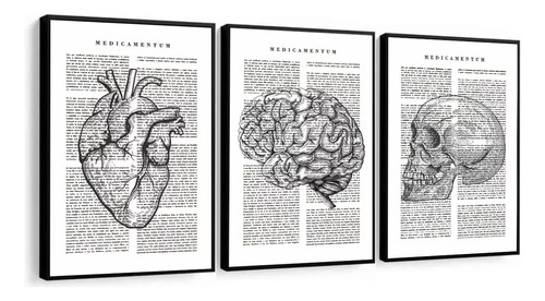 Quadros Decorativo Medicina Coração Cérebro Luxo Com Moldura