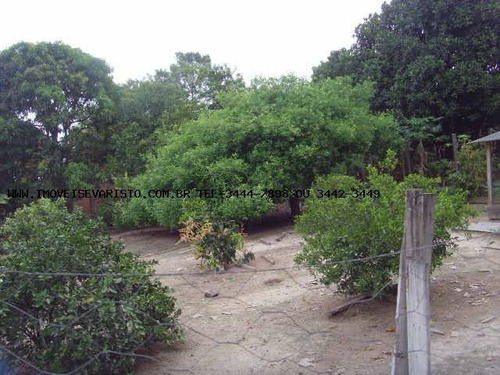 Imagem 8 de 15 de Chácara Para Venda Em Limeira, 2 Dormitórios, 2 Banheiros, 3 Vagas - 1615_1-603191