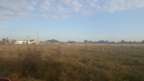 Imagen 8 de 11 de Lote