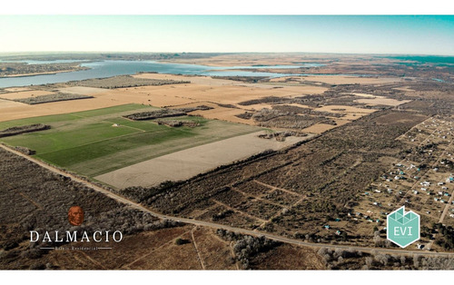 Imagen 8 de 8 de Dalmacio - Amboy