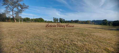 Imagen 10 de 30 de Venta Chacra En Los Ceibos, Maldonado, Punta Del Este