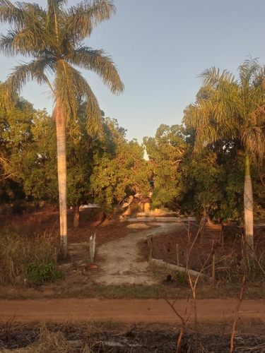 Sitio, Sendo Casa Com 3 Quartos,uma Suite,um Banheiro Social