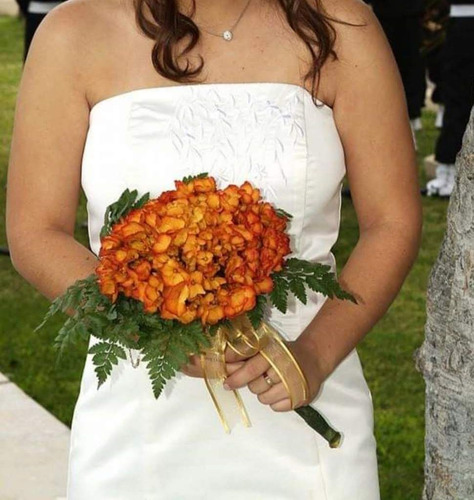 Vestido De Novia 1 Sola Usada