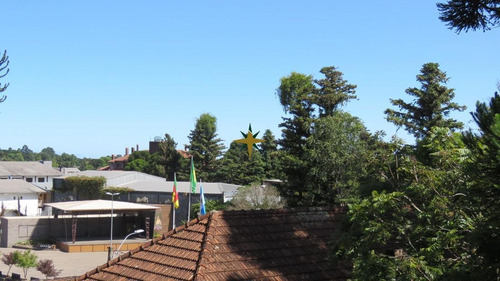 Imagem 9 de 15 de Apartamento A Venda No Centro De Canela - 834