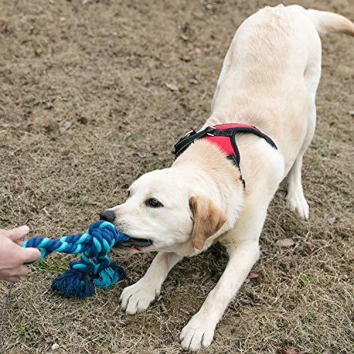 Yipet Cuerda Juguete Perro Remolcador De Guerra Juego Intera