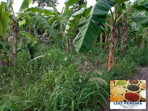 Imagem 3 de 15 de Fazenda À Venda No Vale Do Araguaia - To - De 22 Alqueirões (dupla Aptidão) - 1651