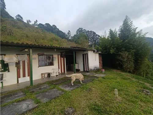 Se Vende Finca En Salento - Quindío