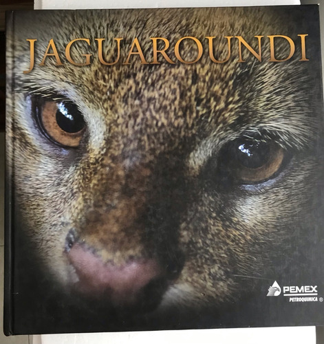 Puma Yaguarundi, Jaguaroundi Parque Veracruz 
