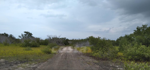 Terreno En Venta En Isla De Holbox Cerca Al Mar