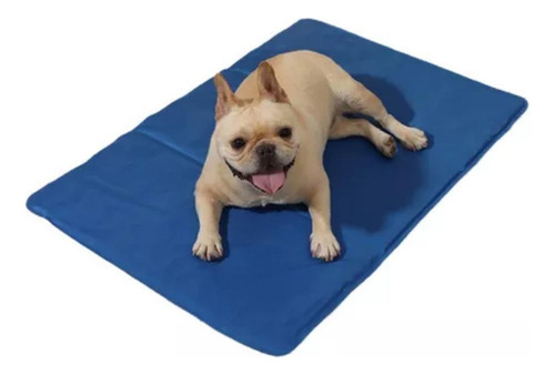 Tapete Perro Refrescante G 90x60 Mascota Calor Playa Fresco Color Royal Blue