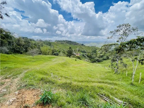 Se Vende Finca De 7 Hectáreas En San Roque, Antioquia