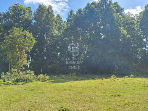 Campo Con Casa En Fresia, Excelente Inversión