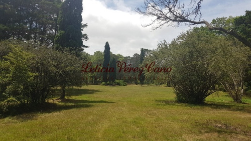 Venta De Chacra En Maldonado, Punta Ballena 5 Has - Ref: 19265