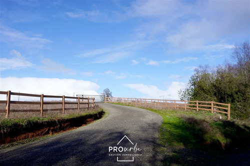 Terreno 5.000 M2 En Venta En Paillaco