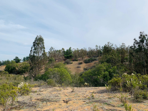 Terreno Rural Eriazo 