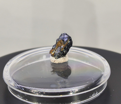 Mineral Plata Mineral Raro Aguilarita Localidad Tipo #8 (Usado)