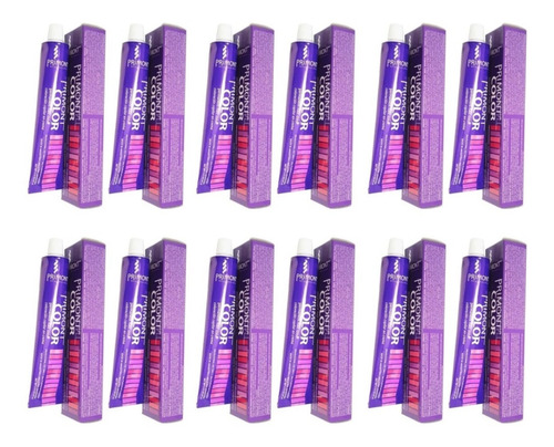 12 Tinturas Primont Color Coloración Profesional 120g