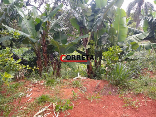 Imagem 10 de 10 de Chácara Bem Localizada,ibiúna Sp - 530