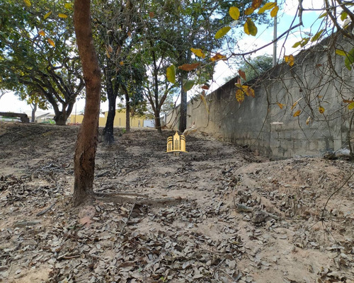 Imagem 11 de 30 de Terreno No Bairro Cidade Jardim - Esmeraldas - Te00295 - 68404585