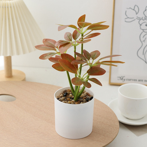 Plantas Artificiales En Maceta Schefflera Octophylla **077