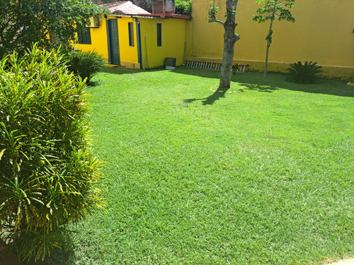 Alugo Mansão Para Fins Comercial Ou Residencial, Com Mobíli