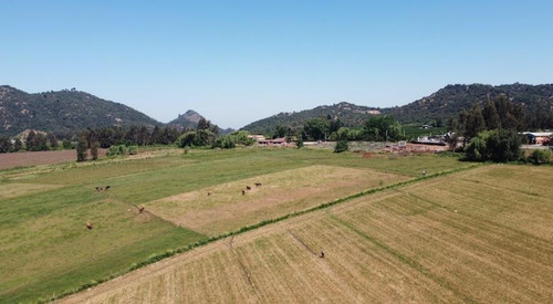 Sitio 5.000mts2 A 10 Minuto Lago Colbún Vende Dueña