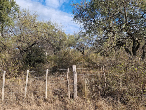 Campo De 20 Hectareas En Venta En La Paz, Traslasierra