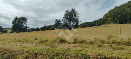Sitio - 5.000 M2 Cada Uno - Cascadas - Puerto Octay