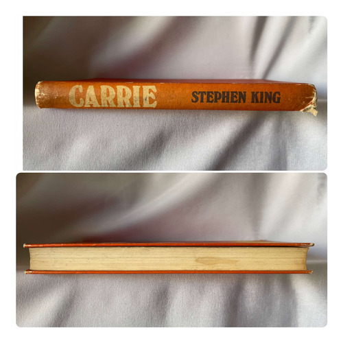 Stephen King Carrie (Usado)