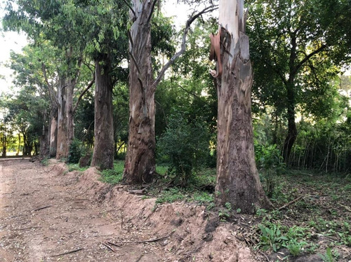 Terreno Lote En Esquina. Barrio Verde Las Moras, Pontevedra.