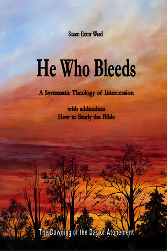 He Who Bleeds: A Systematic Theology Of Intercession, De Ward, Susan Ector. Editorial Createspace, Tapa Blanda En Inglés