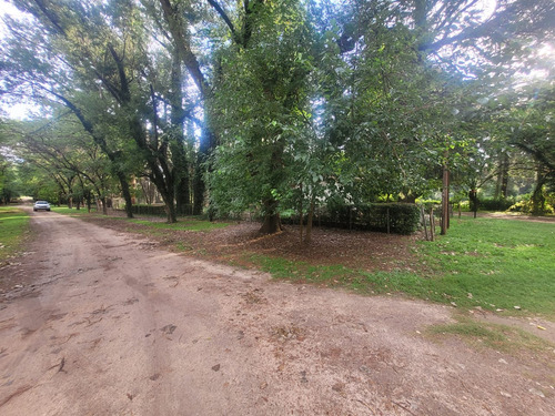 Terreno En Venta En Nono