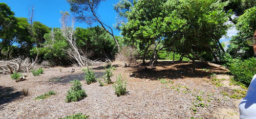 Lote En Venta En Punta Médanos