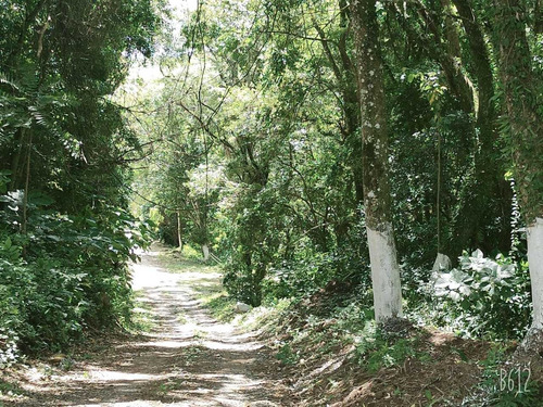 1.000 M2 Com Casa 4 Cômodos, Apenas 500 Mts De Comércios A.