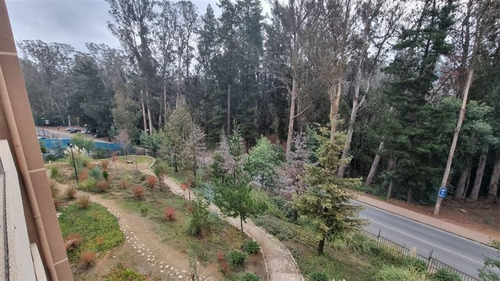 Imagen 9 de 13 de Jardines De Curauma - Valparaíso