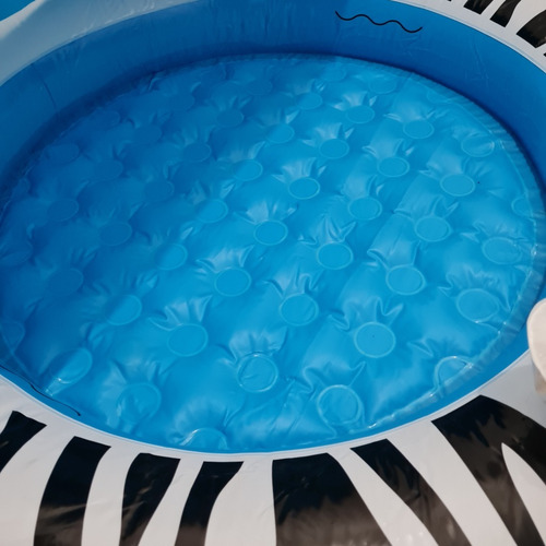Piscina Inflable Con Toldo Para Bebes 2+nueva. Un Poco M
