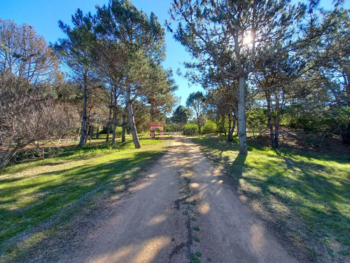 Venta Terreno - Laguna Escondida - Jose Ignacio- Ref:3831909