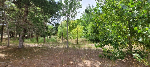 Venta Lote Terreno 20 X 50 San Bernardo Zona Residencial
