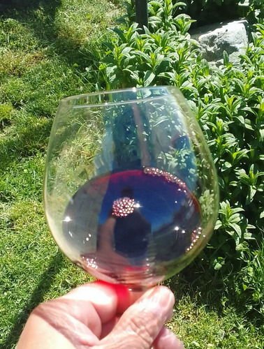Vino Finca Los Dragones Partida Unica Malbec Barreal San Jua