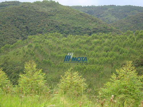 Fazenda Campo Largo 175,96 Alqueires - Fa0019