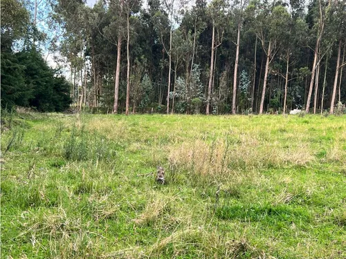 Vendo Lote En Tocancipa
