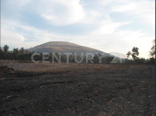 Terreno Carretera Colima-mnzllo, Km 33.5 Tecolapa, Tecomán, Colima
