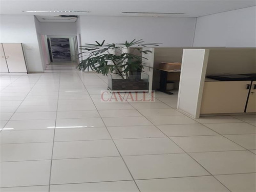 Imagem 3 de 21 de Excelente Comercial Com 550 Mts - 4806