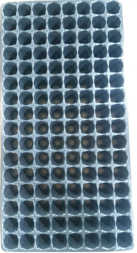 Imagen 1 de 3 de Bandeja Germinacion 128 Celdas Caja X 90 Unid Almacigo